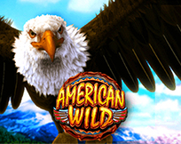 American Wild American Wild