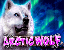 Arctic Wolf Arctic Wolf