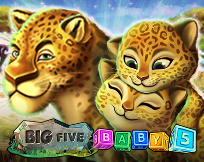 Big 5 baby 5 Big 5 baby 5