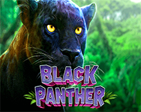 Black Panther Black Panther