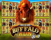 Buffalo Run Quad Buffalo Run Quad