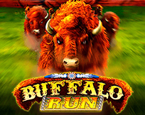 Buffalo Run Buffalo Run
