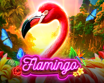 Flamingo Flamingo