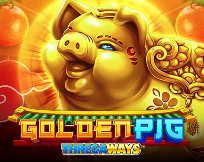 Golden Pig GMW Golden Pig GMW