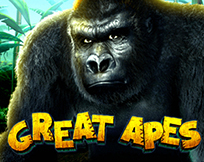 Great Apes Great Apes