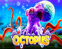 Octopus Octopus