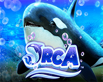 Orca Orca