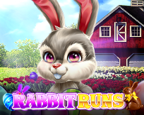 Rabbit Runs Rabbit Runs