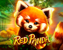 Red Panda Red Panda