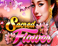 Sacred Flower Sacred Flower