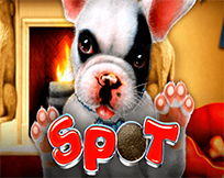 Spot Spot