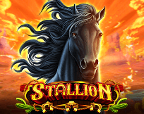 Stallion Stallion