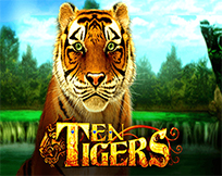 Ten Tigers Ten Tigers