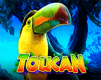Toucan Toucan