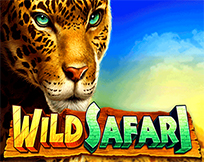 Wild Safari Wild Safari